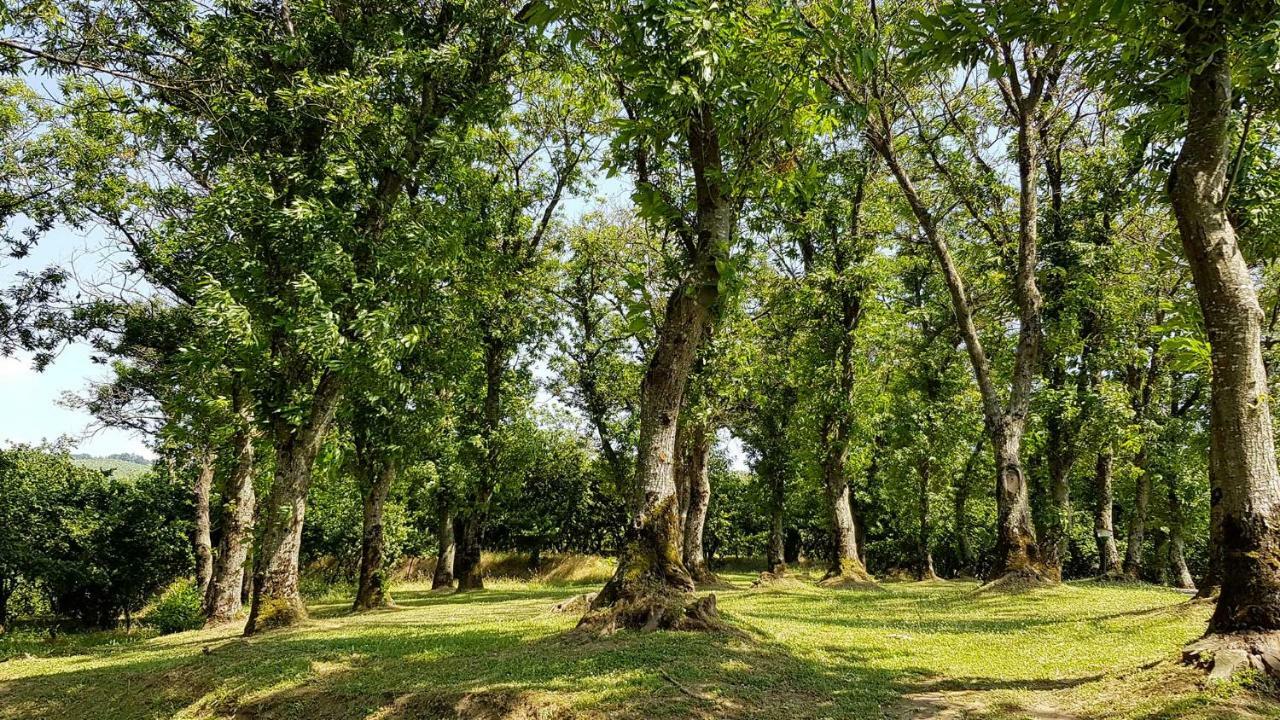 הוילה Contrada  Agriturismo Ricciardelli מראה חיצוני תמונה