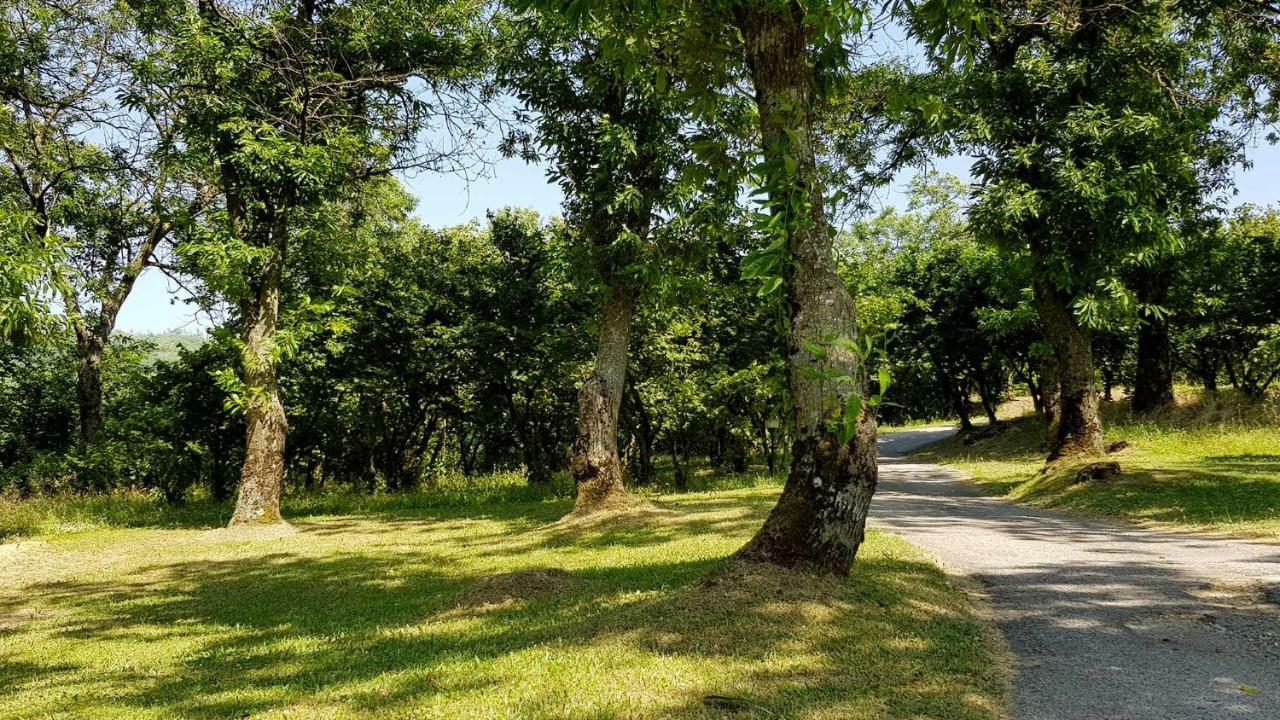 הוילה Contrada  Agriturismo Ricciardelli מראה חיצוני תמונה